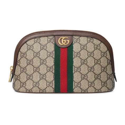 gucci ophidia case